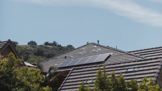 Waarom vogels weren van de zonnepanelen