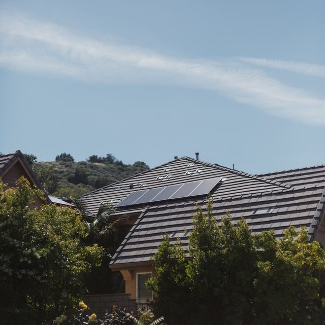 Waarom vogels weren van de zonnepanelen